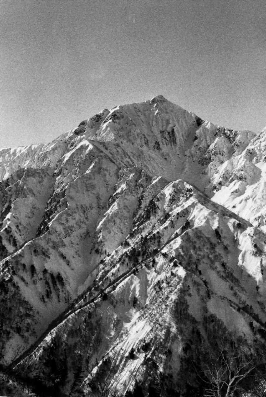 Hostel The Bohemians' Shelter Hakuba Exteriér fotografie